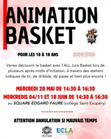 ANIMATION BASKET
