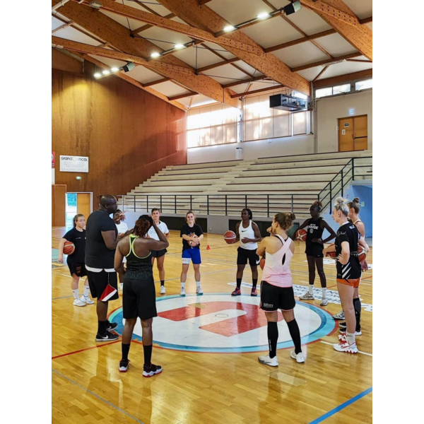 Reprise NF2 ! 